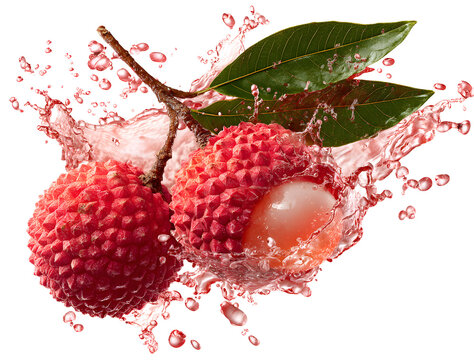 Exploding lychee floating in the air on, lychee with a splash of juice, two complete red juicy whole lychees flying transparent background