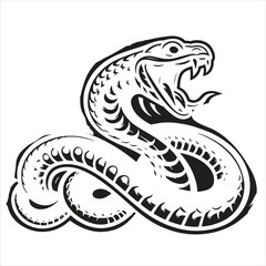 Fototapeta premium Hissing Snake 