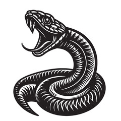 Fototapeta premium Hissing Snake 