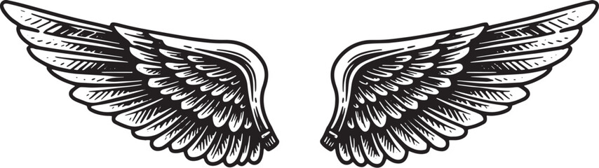 Detailed illustration of wings, perfect for design and symbol pu