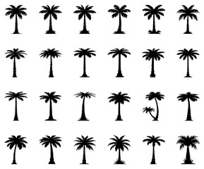 Obraz premium set of palm trees