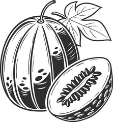 Hand-drawn vector illustrations of an apple, banana, and ripe melon, symbols of nature's food art