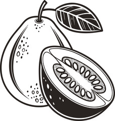 Fresh and juicy fruit vector illustrations, including apple, pear, and ripe melon, perfect for healthy food and nature designs