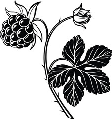 Elegant black and white floral vector illustration of a currant plant with leaves, perfect for vintage seamless patterns or art decoration