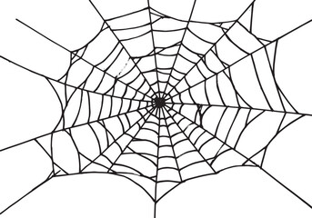 Obraz premium Detailed Black and White Hand-Drawn Spiderweb Illustration on Wh