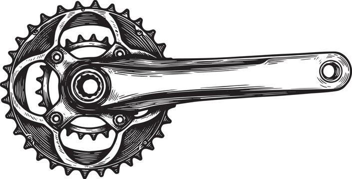 Detailed Monochrome Illustration of a Bicycle Crankset for Cycli