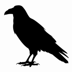 Fototapeta premium Black Raven Silhouette Icon Isolated on White Background – Mysterious Bird Symbol for Nature and Gothic Themes 