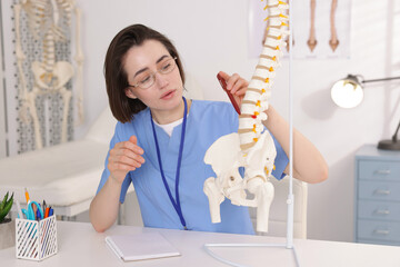 Doctor pointing at sections of human spine model at desk in clinic
