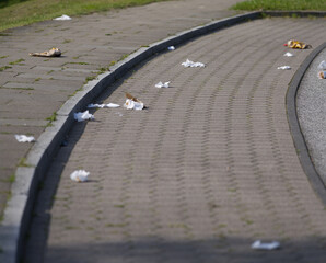 Umweltverschmutzung am Straßenrand