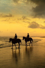 Horses of Parangtritis Beach at Sunset
