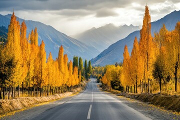 Autumn road through golden poplar trees and mountains