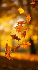 Autumn Leaves in Golden Light &ndash; Seasonal Illustration
