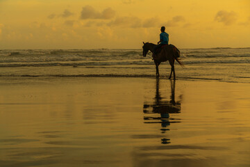 Horses of Parangtritis Beach at Sunset