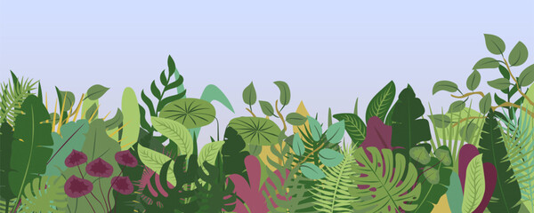 Tropical forest background. Nature green leaves, exotic plants, botanical border, horizontal floral banner, card design. 