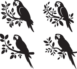 Obraz premium Four Black Macaw Parrots on Branches with Leaves Silhouettes 1
