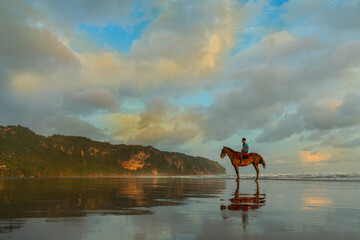 Horses of Parangtritis Beach at Sunset