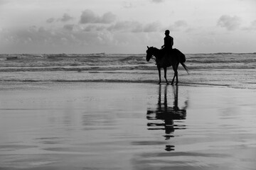Horses of Parangtritis Beach at Sunset
