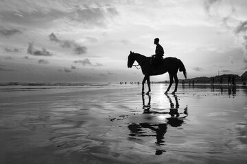 Horses of Parangtritis Beach at Sunset