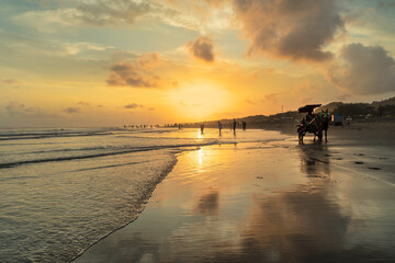 Horses of Parangtritis Beach at Sunset