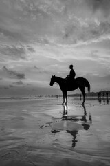 Horses of Parangtritis Beach at Sunset