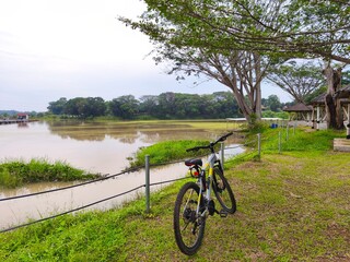 Serene Lakeside Bicycle Rest: Mountain Bike by Calm Water