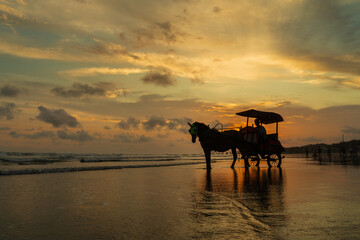 Horses of Parangtritis Beach at Sunset