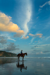 Horses of Parangtritis Beach at Sunset