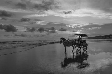 Horses of Parangtritis Beach at Sunset