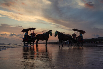 Horses of Parangtritis Beach at Sunset