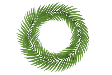 Palm leaves forming verdant circular frame, showcasing lush tropical greenery against transparent backdrop with minimalist design concept