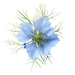 Obraz premium Exquisite Nigella Flower: A top-down shot captures the delicate beauty of a vibrant blue Nigella flower, surrounded by elegant green foliage, showcasing nature's artistry in full bloom.