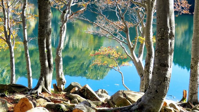 l'acqua cristallina del lago santo parmense circondato dai faggi