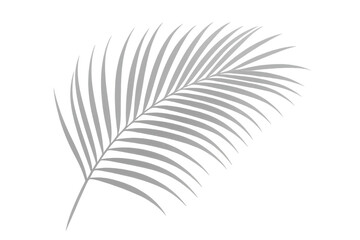 Silver palm leaf isolated on transparent background, perfect for adding a touch of tropical elegance to summer-themed designs