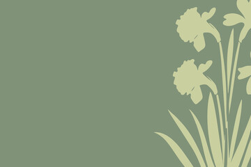 Pale daffodil floral border vector illustration with botanical sketch on green background, place for a text
