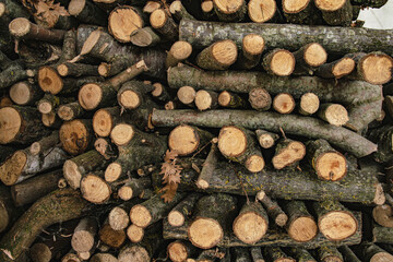 Stack of firewood logs creating a natural background texture