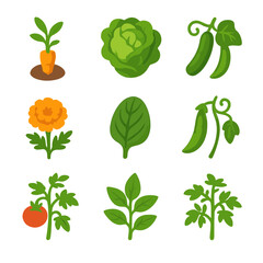 Radish Companion Plant Icons. Isometric Flat icon set of radish companion planting: carrot seedling, lettuce head, cucumber vine,