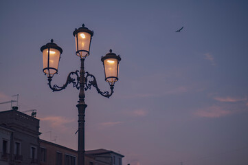 Street lamp illuminating chioggia at dusk with seagull soaring above