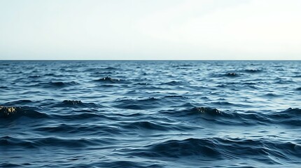 Fototapeta premium A calm blue ocean extends to the horizon under a clear sky, its gentle waves creating a peaceful seascape