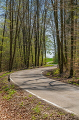 Idyllic single lane road