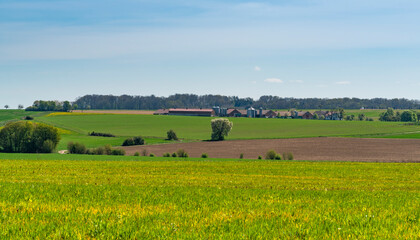 Farmland in Hohenlohe