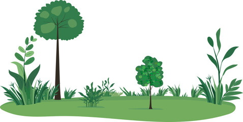 Green Eden: a scene of a peaceful, natural outdoor scene of tall trees, foliage, lush grass and other verdant details bathed in the vibrant and fresh green. © AJM