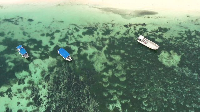 Vertical aerial view from shallow coral reefs beach at Tokoriki island in Fiji &ndash; sunset.
