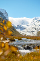 Aspen Colorful Autumun under Snow Mountain with Lake
