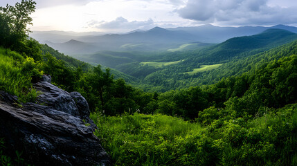 Fototapeta premium Dummy prompt text with placeholder description of something interesting.