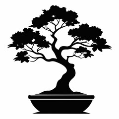 bonsai tree silhouette