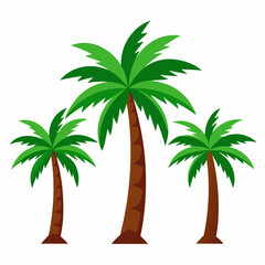 palm trees on white background