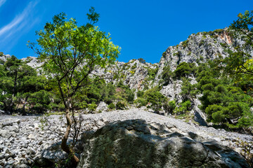 Agali Gorge shady gravel forest hiking path