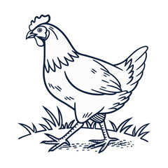 Farm poultry vector illustration: isolated cartoon hen, rooster, and chick with feathers
