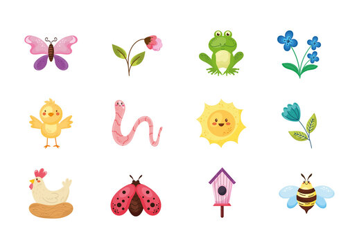 Colorful Spring Nature Animals Seasonal Illustrations Set