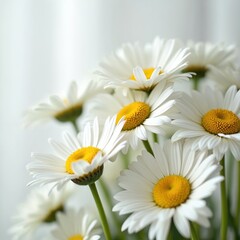 Obraz premium White daisy flowers arrangement. Natural decor. Floral arrangement. Minimalist design. Fresh bloom. Beauty in simplicity, serenity. Ideal for home decor, events, celebrations. Artistic floral